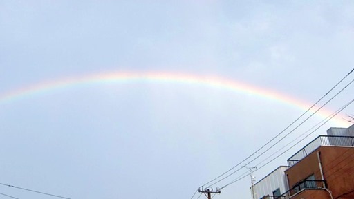 東京の虹[4]