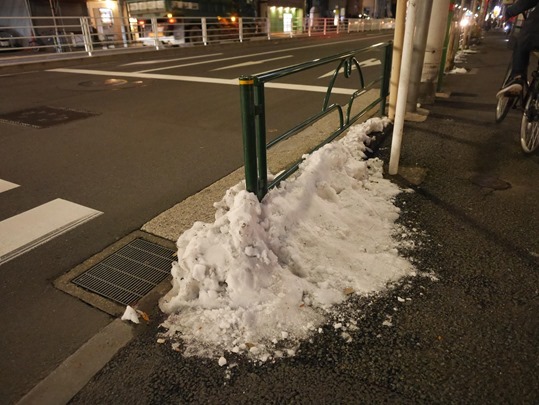 2016年1月の東京の雪