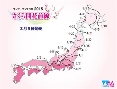 さくら予想